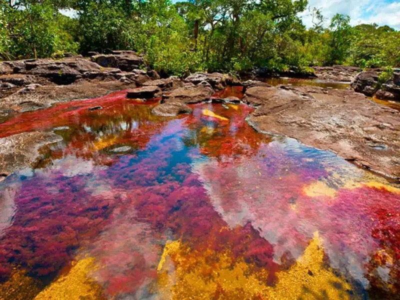 Colombia's Rainbow river Rainbow River in Colombia might be your