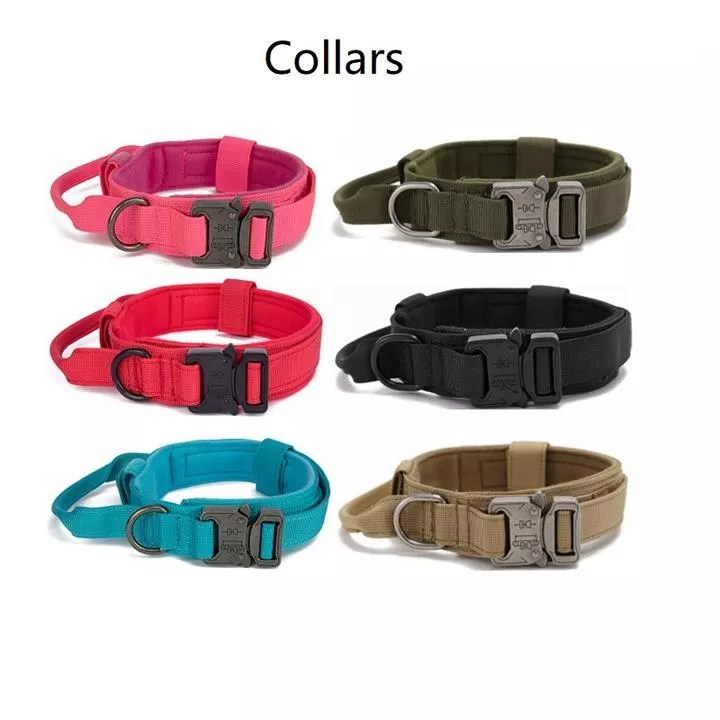 Wholesale Dog Collars & Leashes in bulk Tommypet