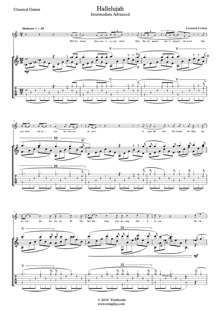 Auf und ab gehen Sandwich Kommentator hallelujah partition guitare