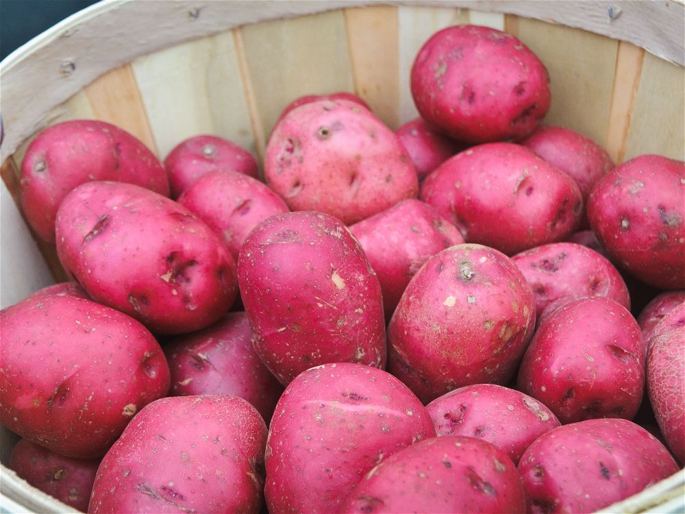 Potatoes Red 10Lb Product Of Ontario Iqbal Foods Inc
