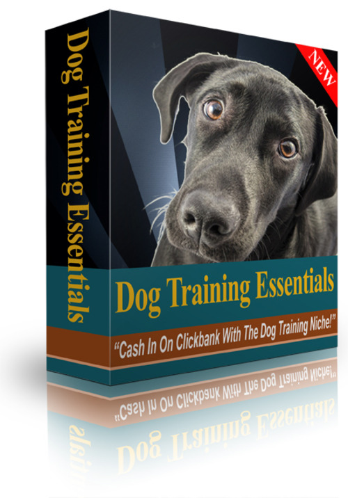 dog training essentials Archives Pligg