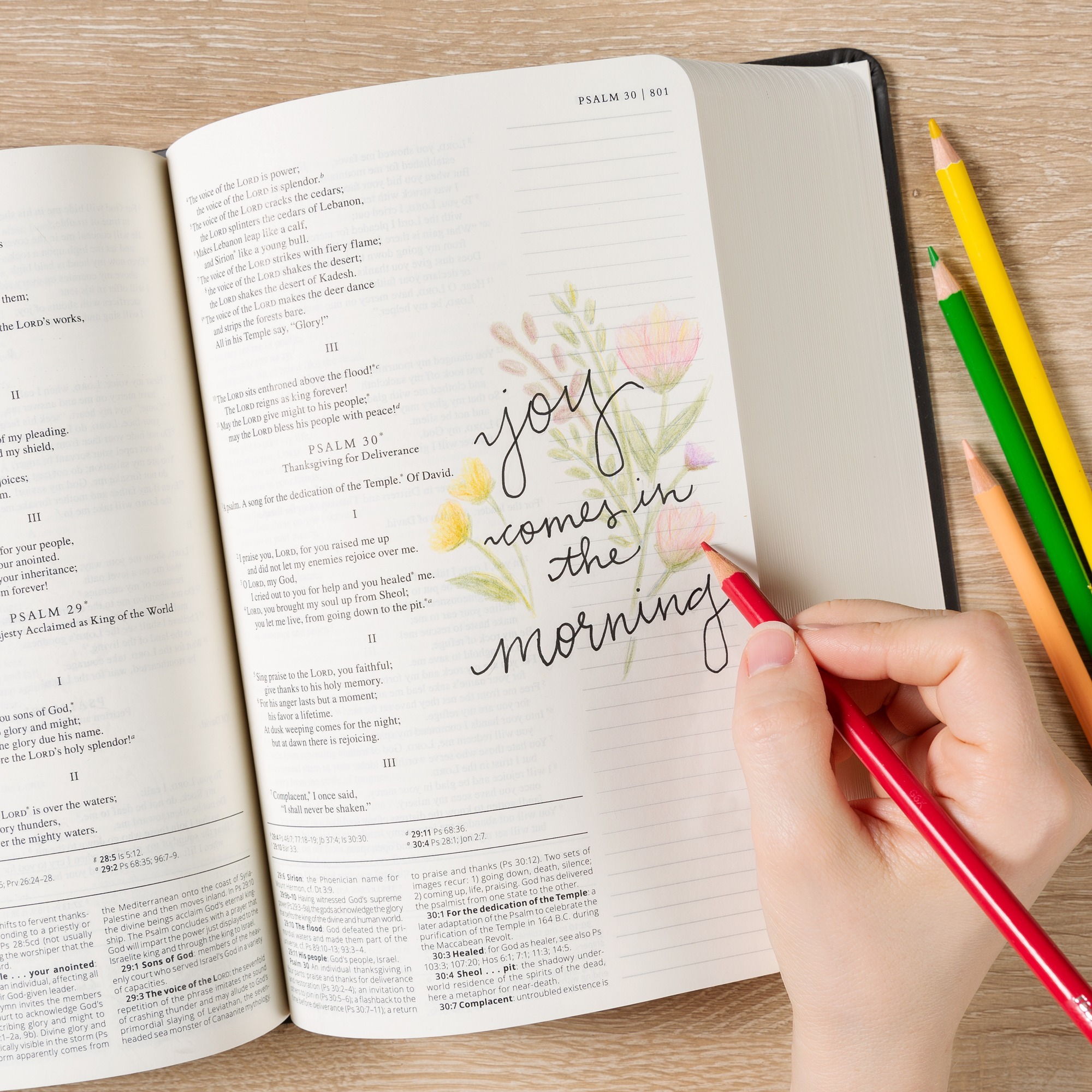 Catholic Notetaking/Journaling Bible (NABRE) The Catholic Company®