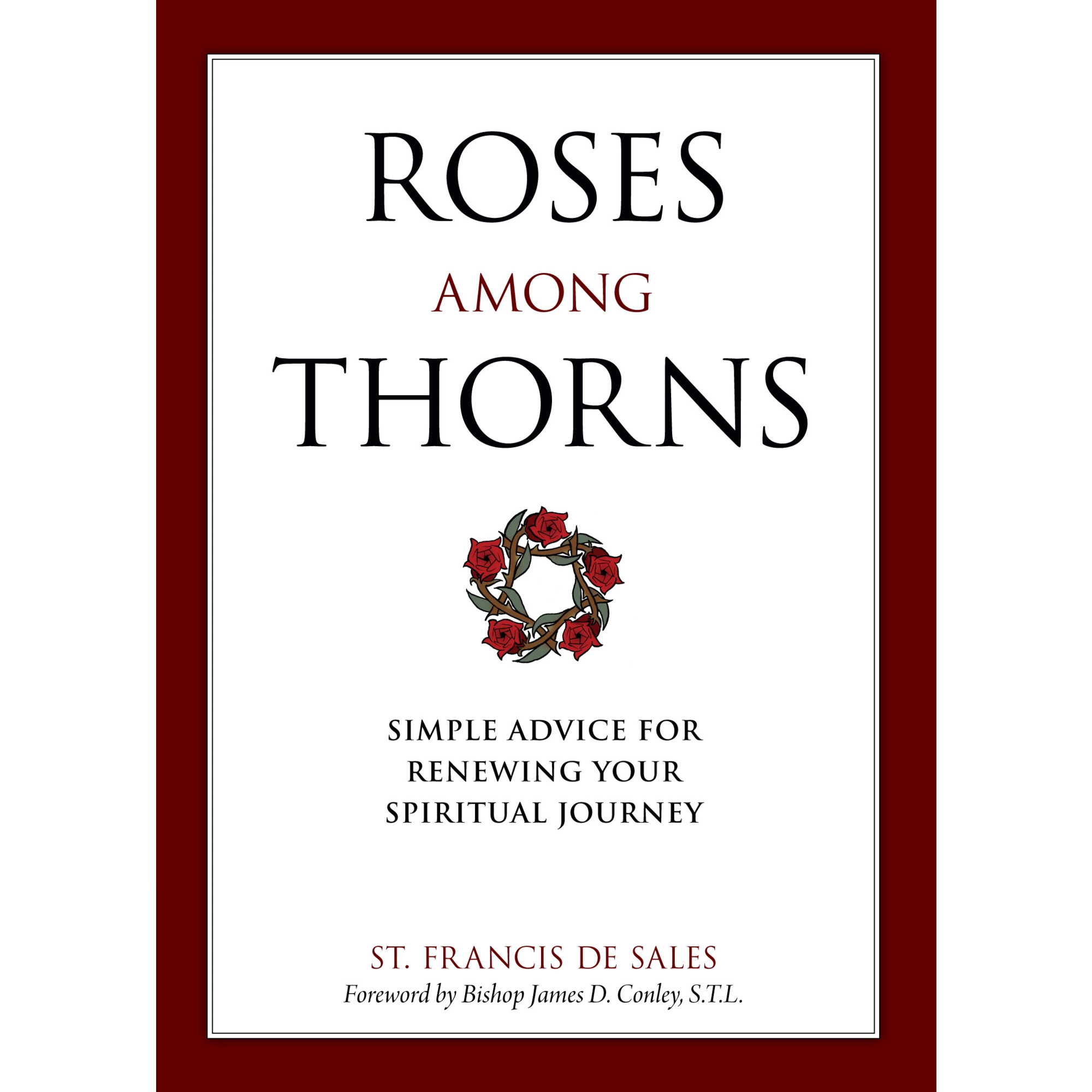 Roses Among Thorns Simple Advice for Renewing Your Spiritual Journey