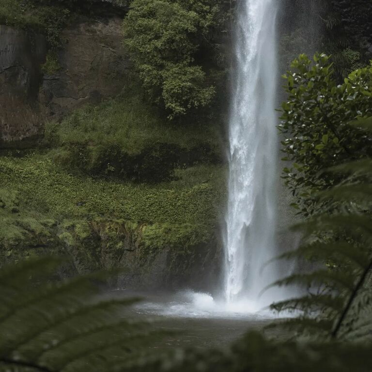 Escape From Your Cubicle To The Relaxed Outdoors Of Raglan, NZ Trip101