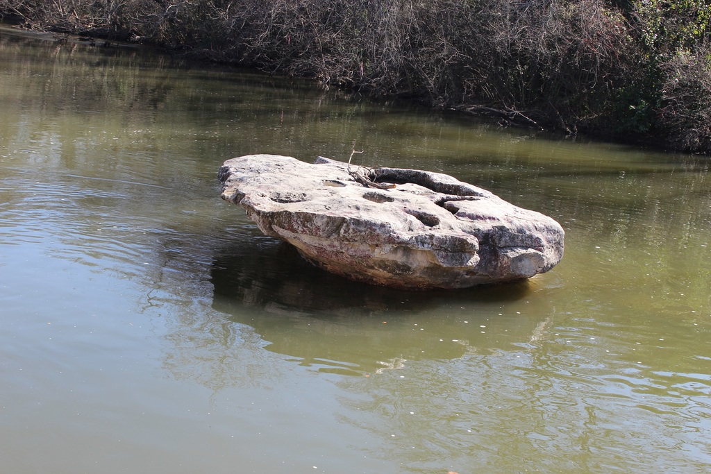 11 Fun, Family Friendly Things To Do In Round Rock, Texas Trip101