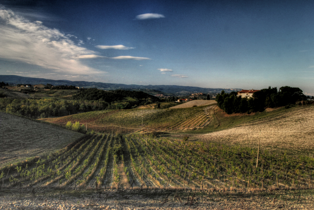 7 Great Wine Tours To Fully Enjoy Florence And Tuscany! Trip101