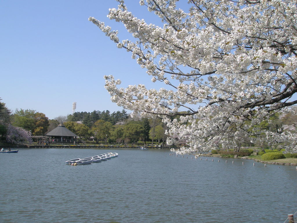 9 Best Things To Do In Chiba Prefecture, Japan Updated Trip101