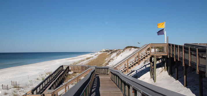12 Things To Do In Seagrove Beach, FL Updated 2021 Trip101
