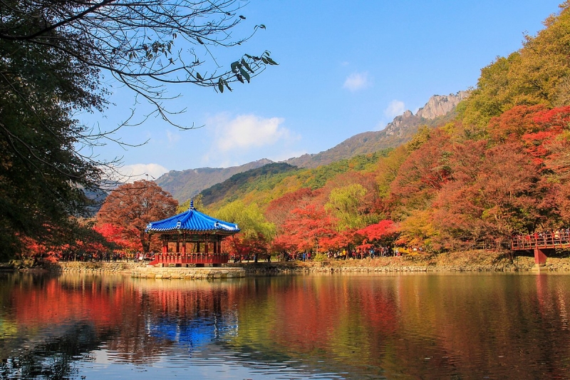 Top 15 Places to See Autumn Foliage in Asia