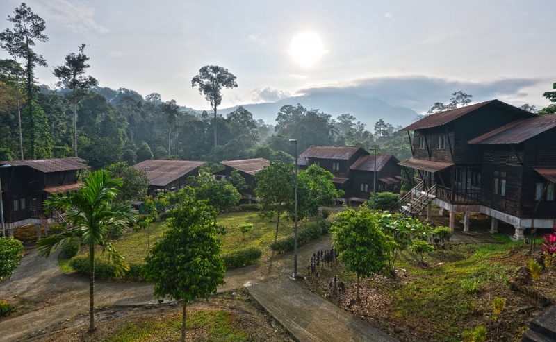 A Guide to Endau Rompin How to Get There, What to Do