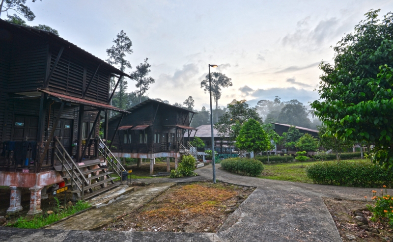 A Guide to Endau Rompin How to Get There, What to Do