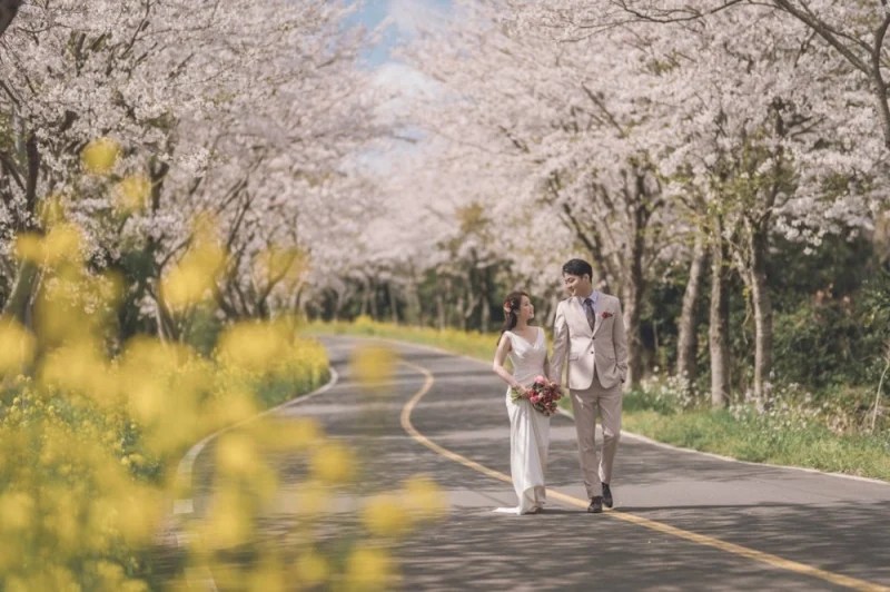 10 Places to Heal and Chill on Jeju Island During Cherry Blossom Season