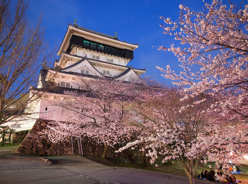 Cherry Blossoms in Japan 2022 When & Where to See Them