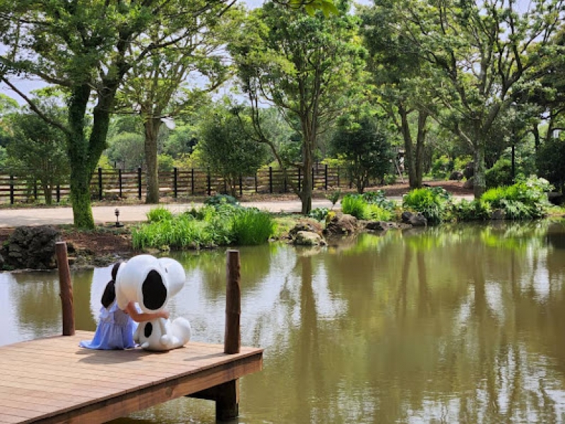 10 Places to Heal and Chill on Jeju Island During Cherry Blossom Season