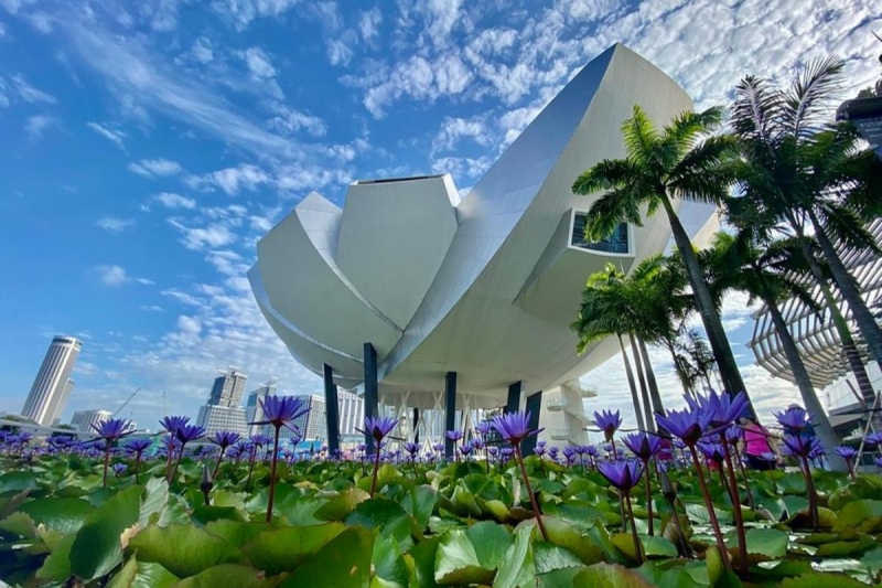Best Art Museums and Galleries to Visit in Singapore