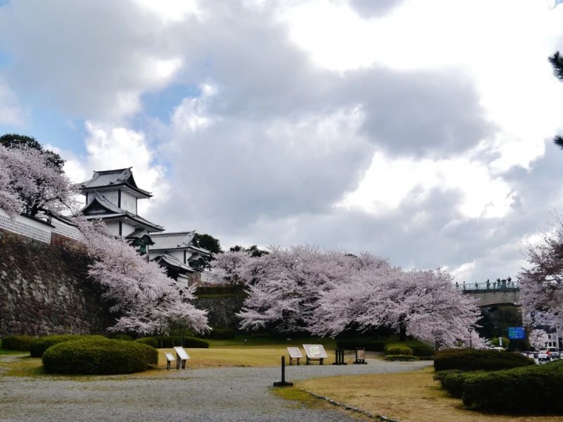 Top Things to Do in Kyushu What to See, Do, and Eat on Your Next Trip