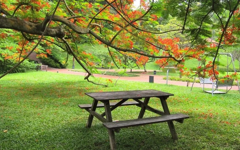 Picnic in Singapore 22 Places Perfect for an Enjoyable Day Out