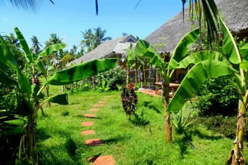 10 Airbnb Stays That Cost Less Than ₱20,000 to Rent by Month