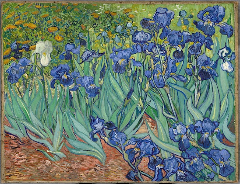 Van Gogh Paintings Where To Find His Paintings Around The World!