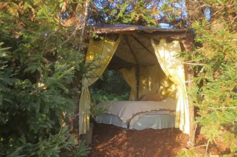 Best Big Sur Airbnb Homes for Your California Road Trip