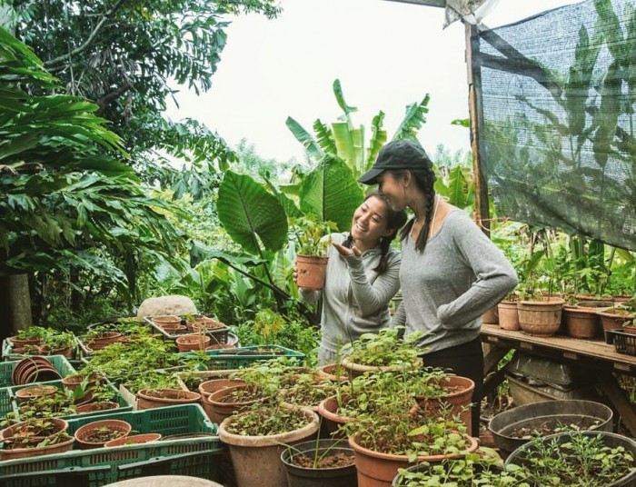 10 Farms in Singapore to Visit for a Taste of the Countryside