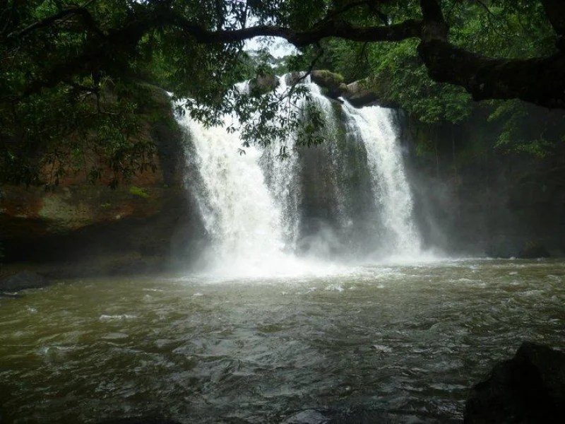 Here’s Why Khao Yai National Park is Worth a Visit