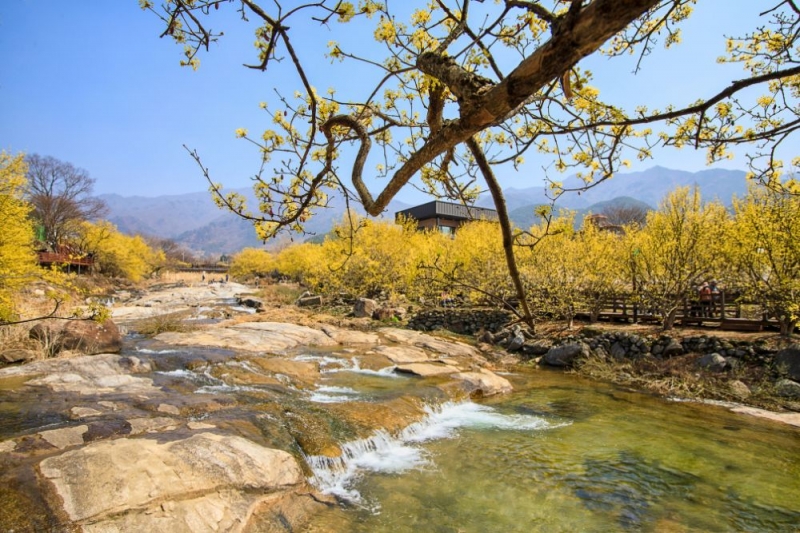 11 Small Towns & Villages in South Korea for a Dreamy Rural Getaway