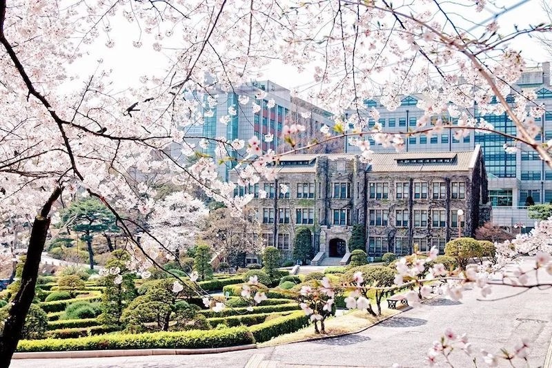 Yonsei University Sky Universities Korea INFOLEARNERS