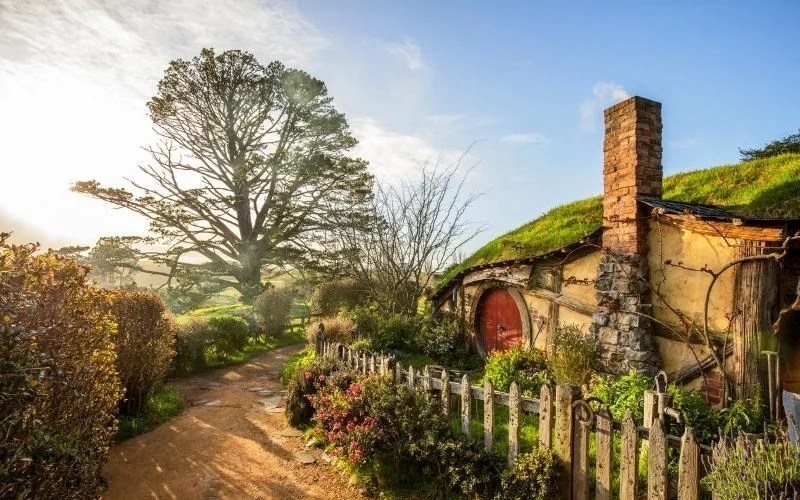 10 Movies Filmed in New Zealand and Their Breathtaking Locations