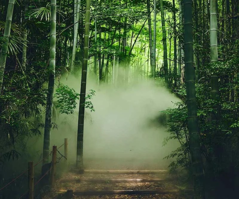 Japan Finally Has a Pokemon Theme Park & We Can’t Wait to Explore It!