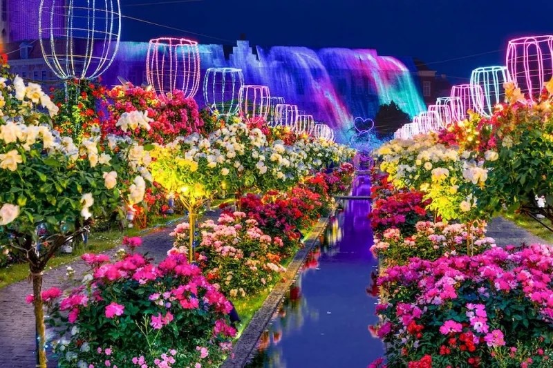 7 Flower Parks in Japan That You Will Fall in Love With