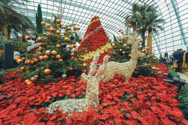 19 Holiday Events in Singapore to Celebrate the Festive Season