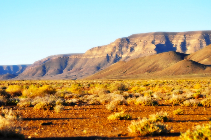 Muslim Travel 5 Stargazing Spots For You to Marvel At HalalZilla