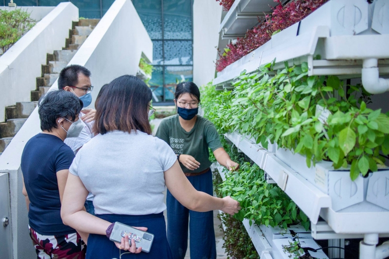 10 Farms in Singapore to Visit for a Taste of the Countryside
