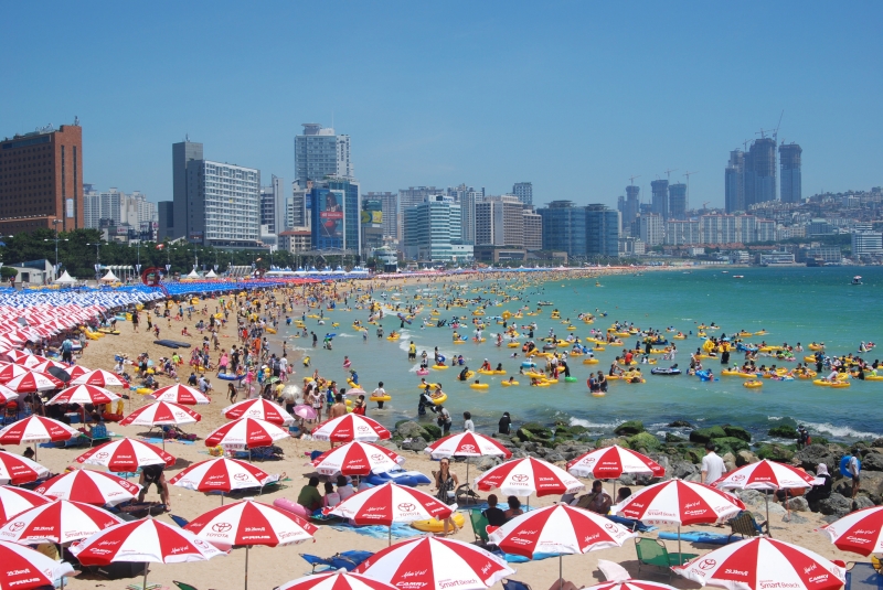 Top 5 Beaches to Visit in Busan This Summer