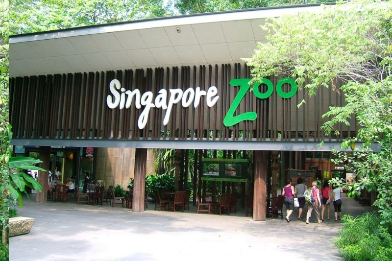 Singapore Zoo’s “Breakfast in the Wild” Is Back What You Need to Know