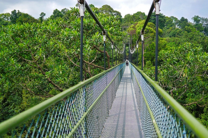 20 Nature & Hiking Trails in Singapore To Explore During Your Weekends [UPDATED 2020]