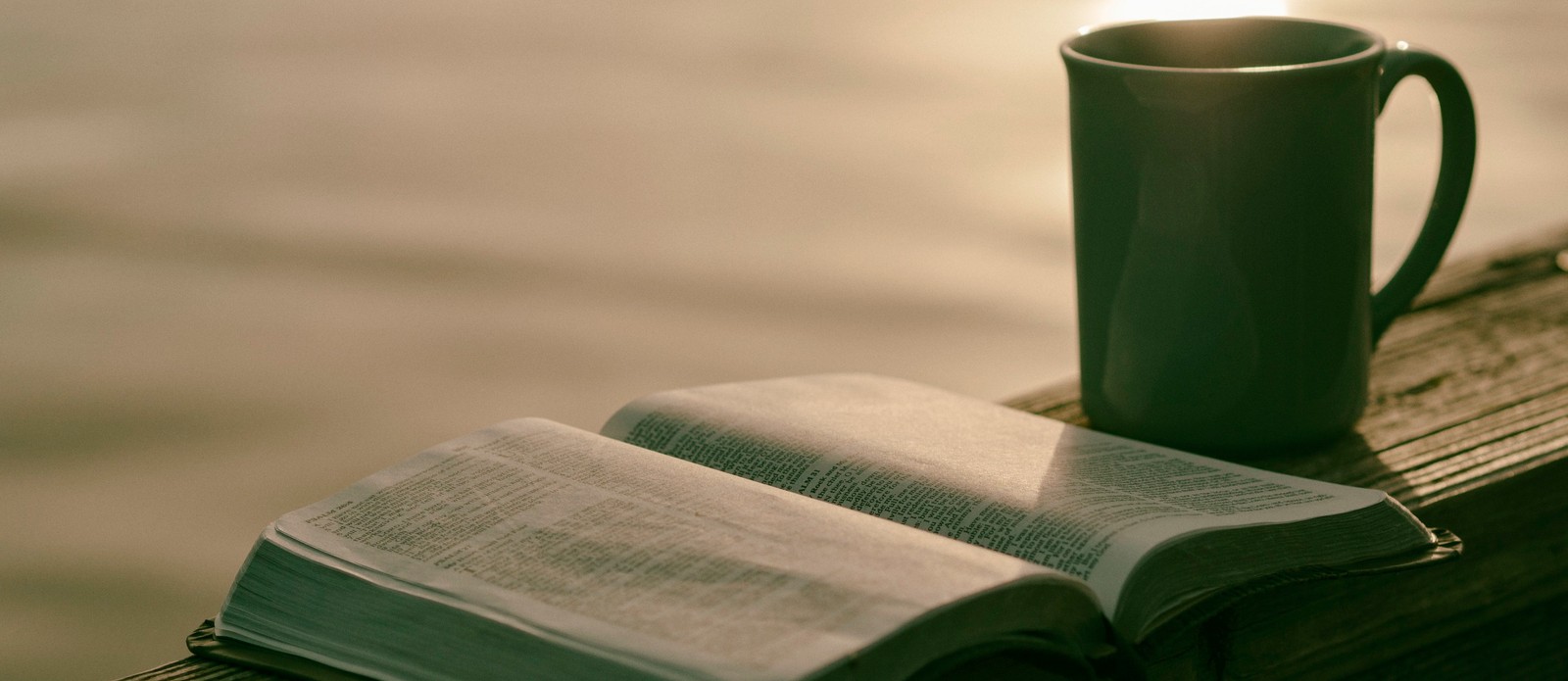 Poet and civil rights campaigner Maya Angelou was from which US state?