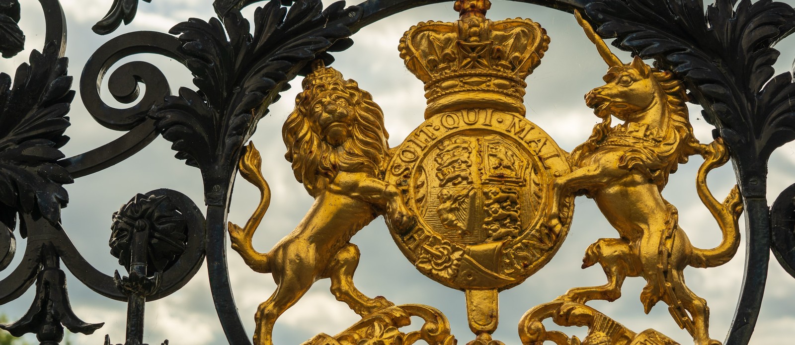 What is the study of coats of arms called?