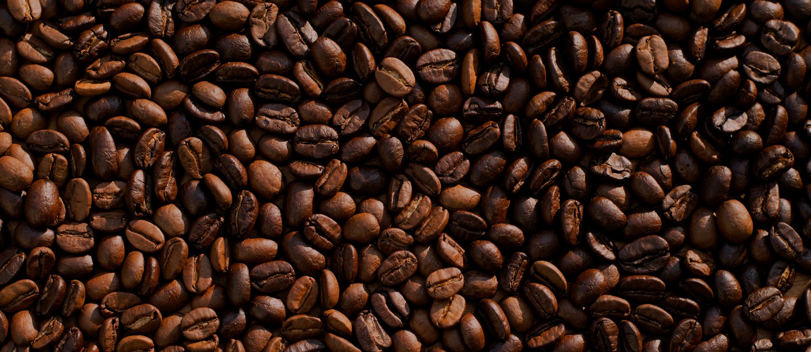 Which country is the largest coffee producer in the world?