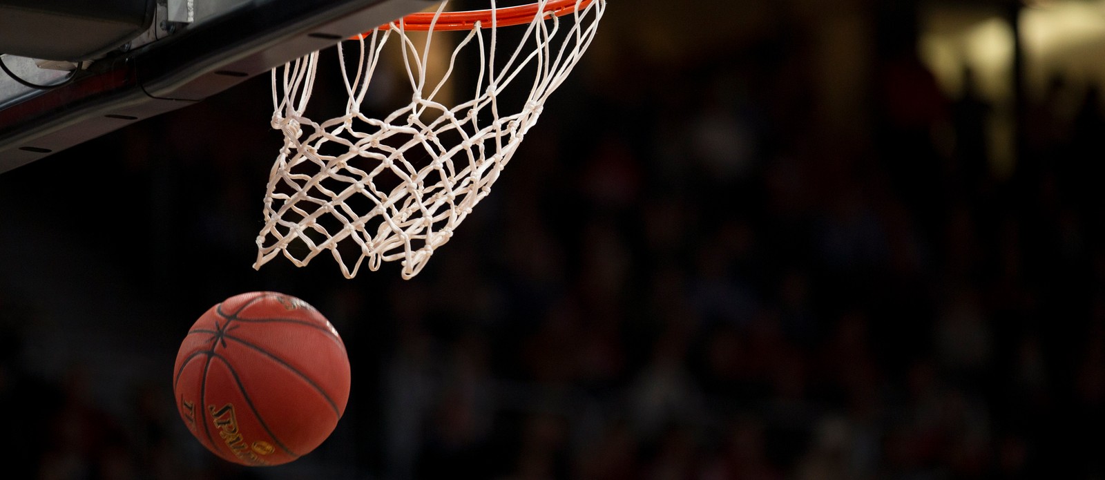 The Pistons are an NBA team from which city?