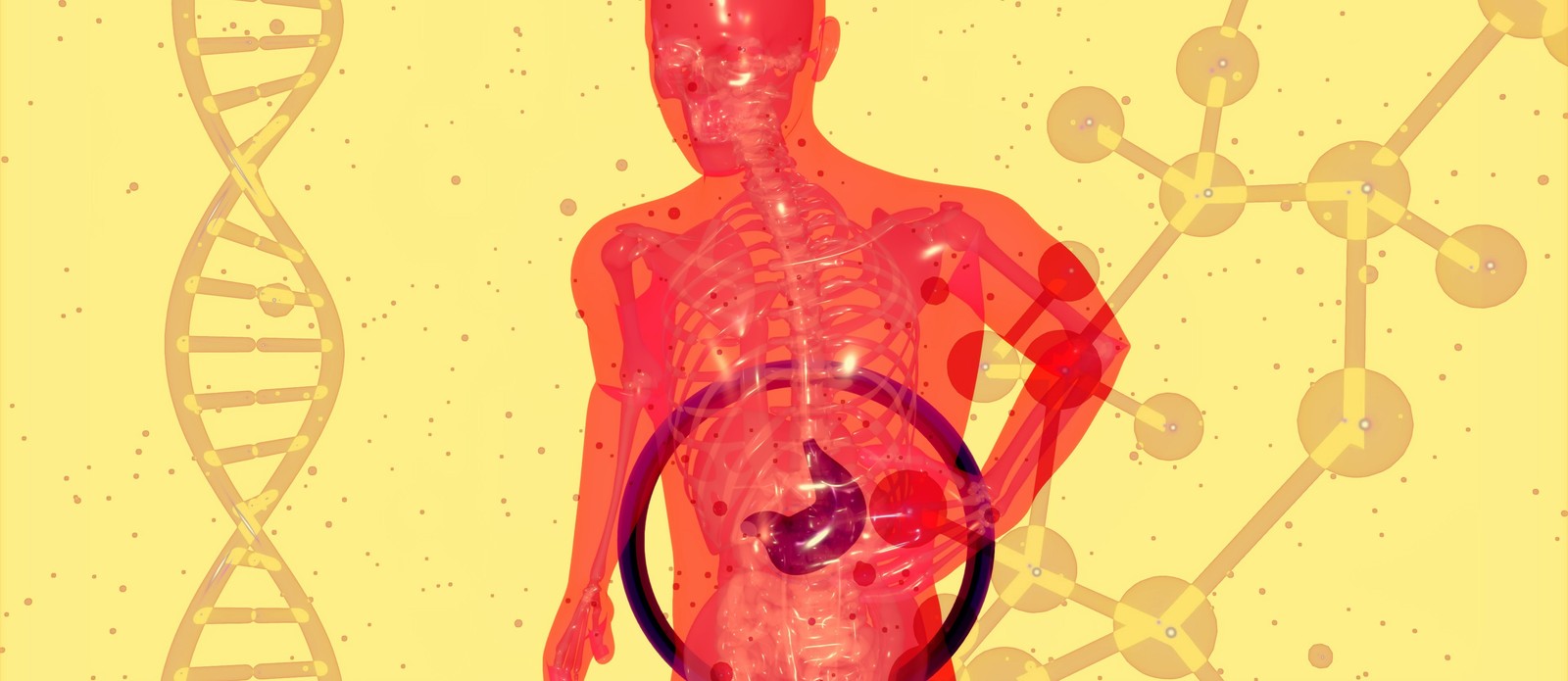 What is the name of the digestive fluid produced by your liver?