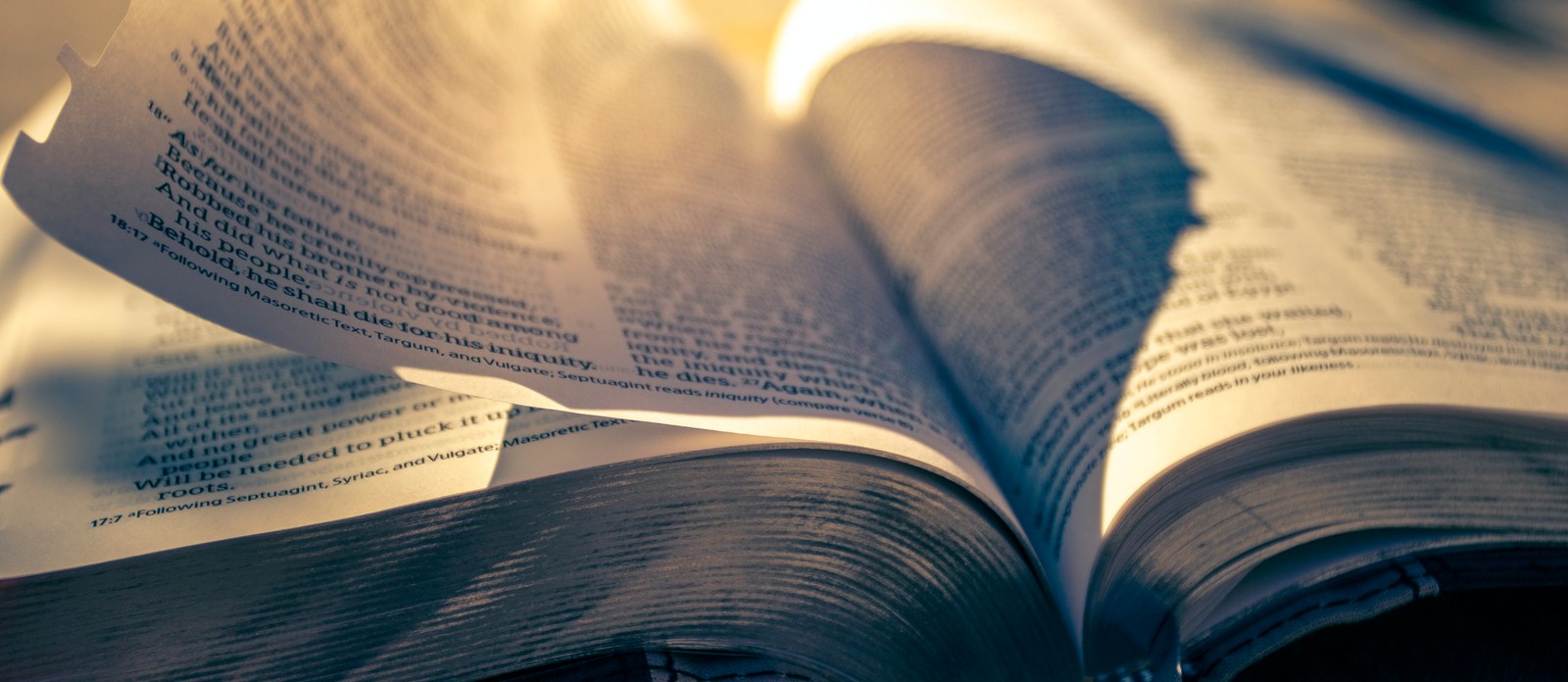 Which French author wrote "The Count of Monte Cristo"?