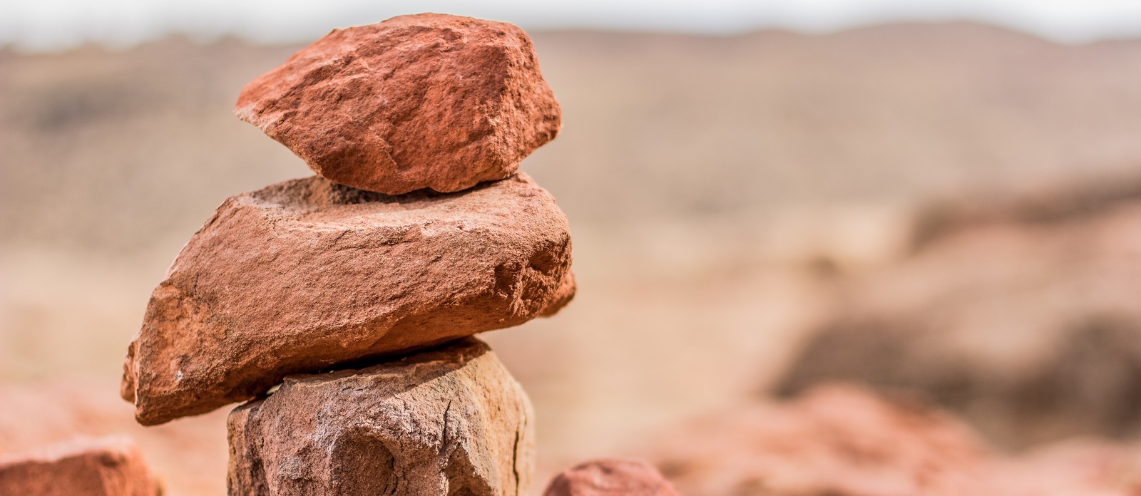 Which of these types of rock floats on water?