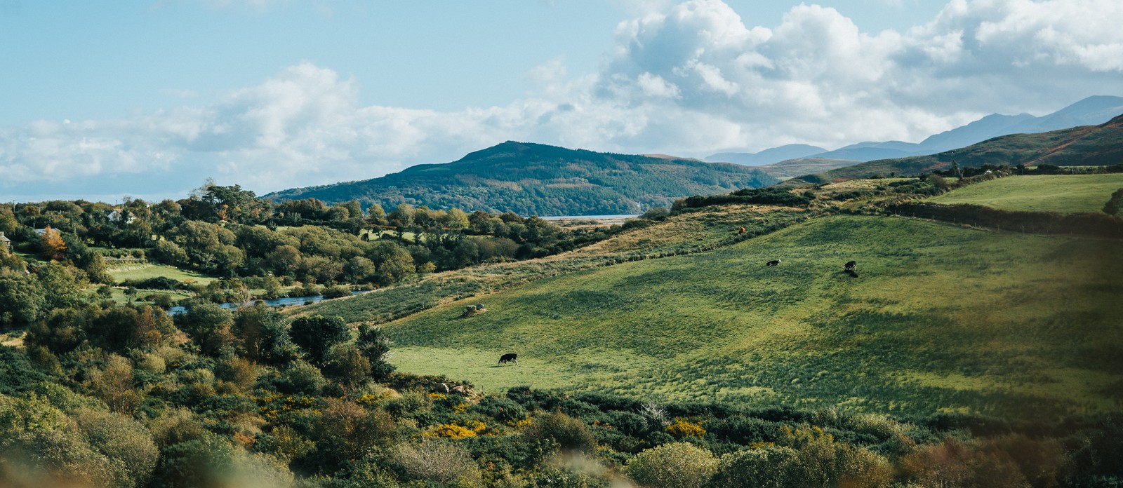 Which country was called Hibernia by the Romans and Greeks?