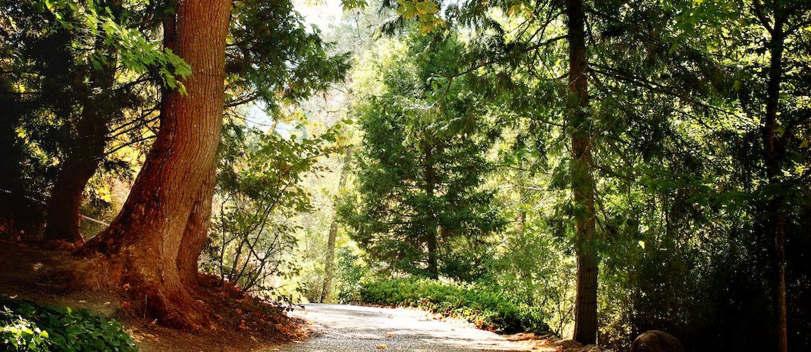 Where does the Oregon Trail begin?