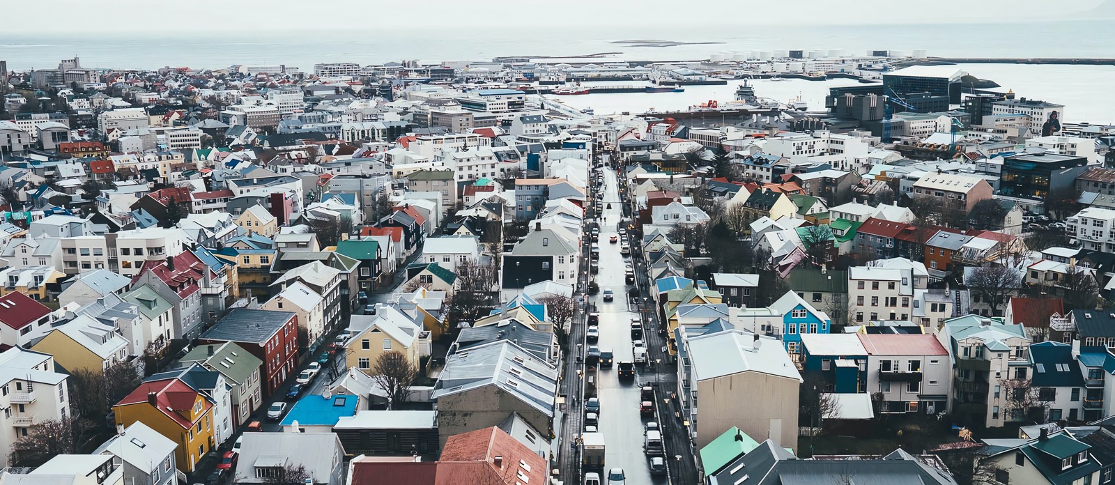 Which of these pets was once banned in Reykjavik, Iceland?