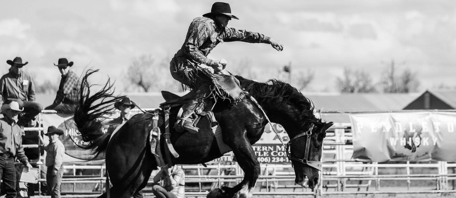 Which country has rodeo as its national sport?