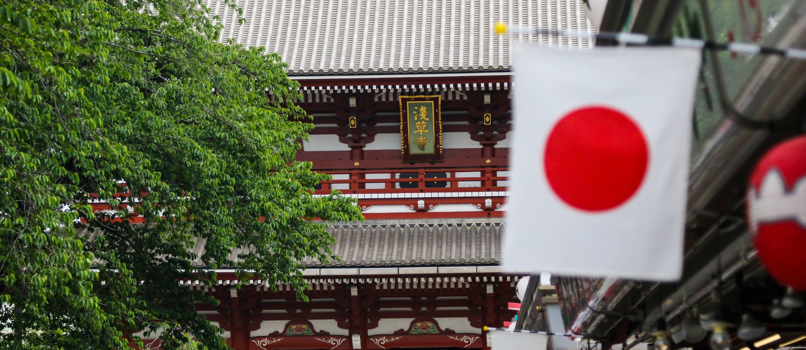 What does "sakura" mean in Japanese?