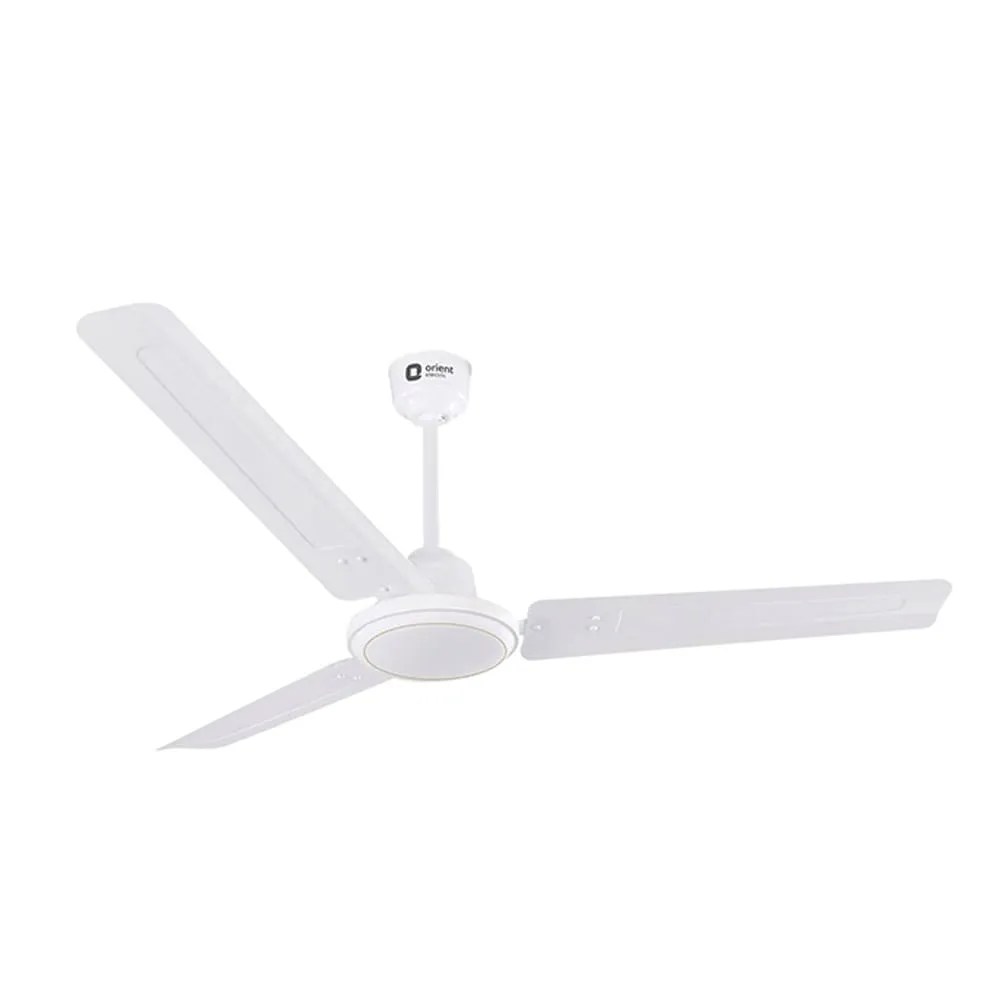 Decorative Ceiling Fans In Sri Lanka Shelly Lighting